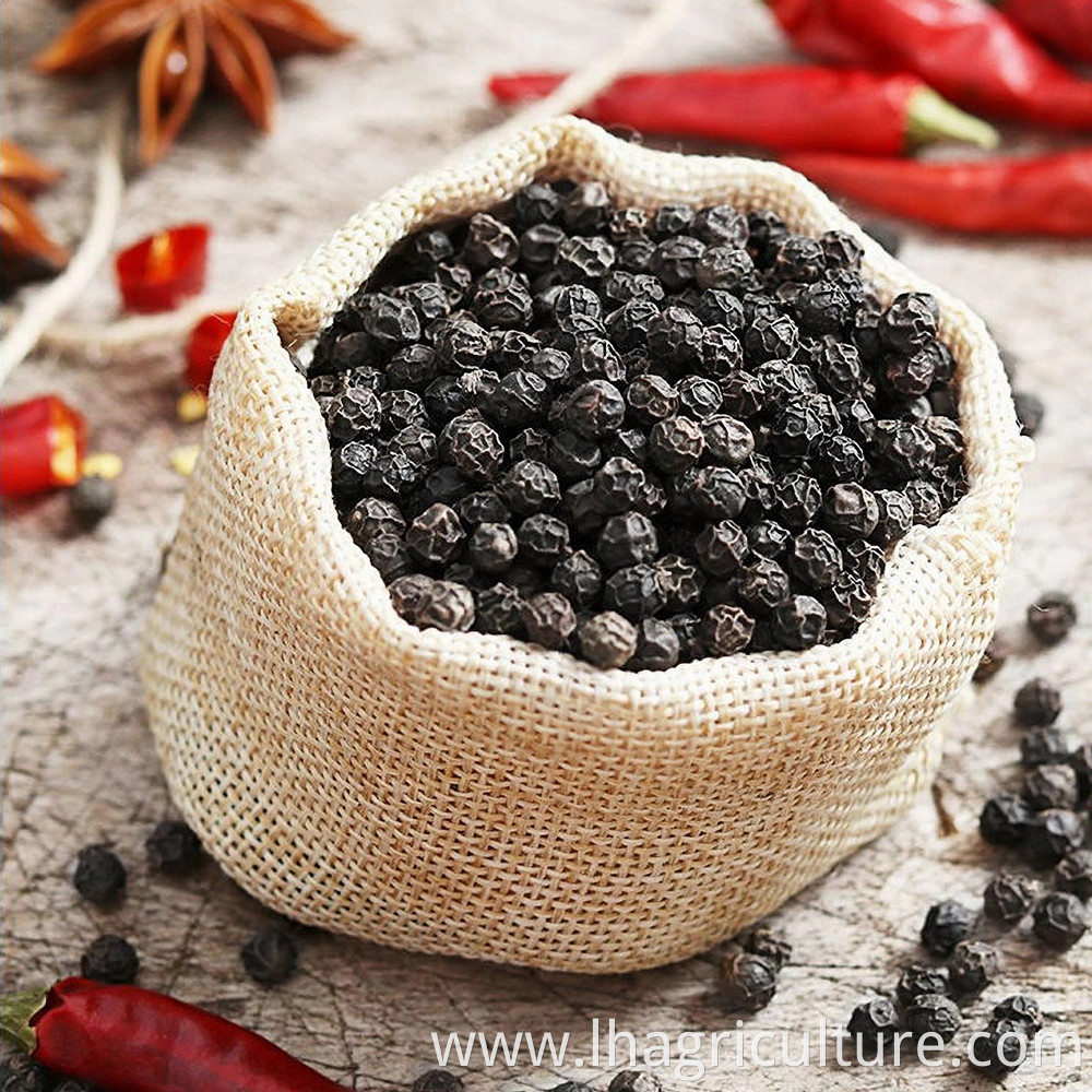 High Quality Black Pepper